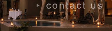 Sabi Sabi Private Game Reserve, South Africa.